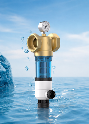 Фильтр для воды BriskSpring T1-Z2-BS для всего дома с двойной очисткой, фильтрацией 40 микрон и манометром